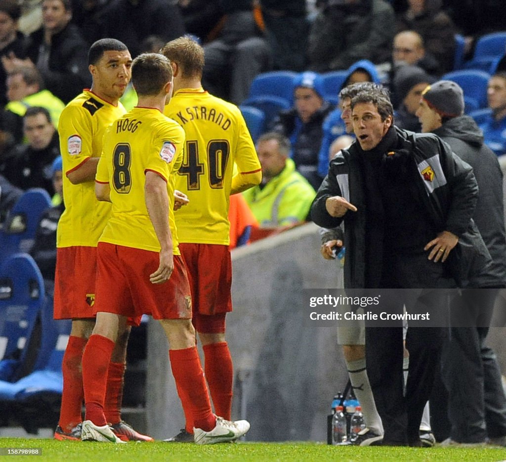 Brighton & Hove Albion v Watford - npower Championship