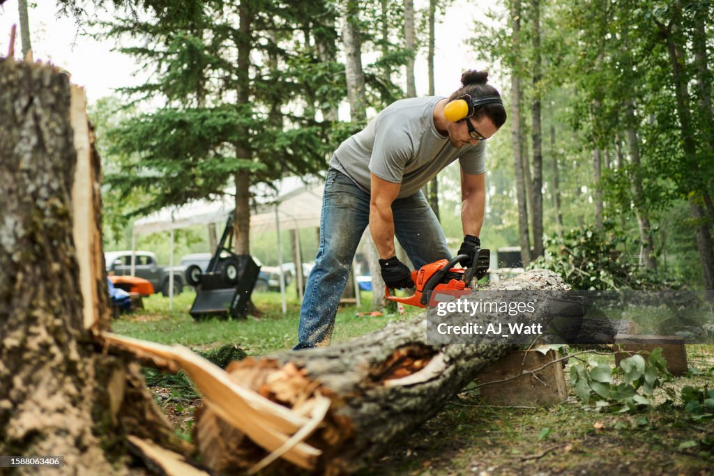 Man cutting down a tree outdoors using a chainsaw