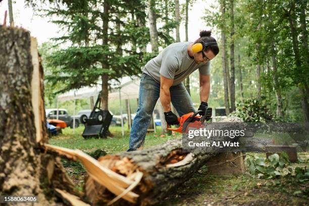 man cutting down a tree outdoors using a chainsaw - chopping down tree stock pictures, royalty-free photos & images