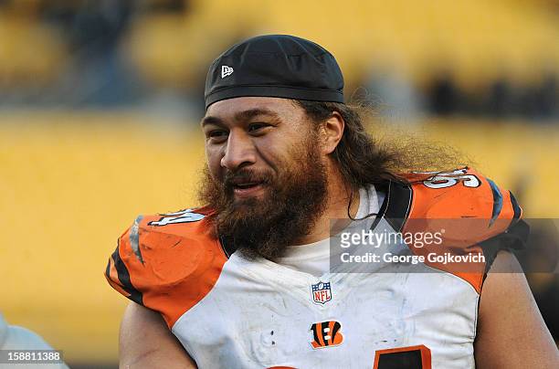 Defensive lineman Domata Peko of the Cincinnati Bengals looks on from the field following a game against the Pittsburgh Steelers at Heinz Field on...