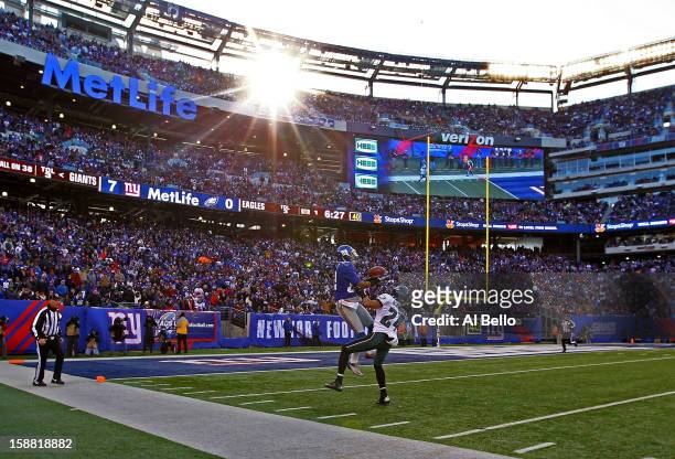 Rueben Randle of the New York Giants catches a touchdown against Nnamdi Asomugha of the Philadelphia Eagles during their game against the at MetLife...