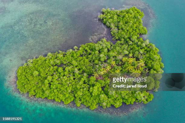 tropical island from drone - bocas del toro stock pictures, royalty-free photos & images