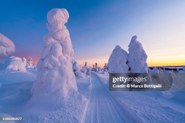 snowmobile track in finnish lapland winter scenery - wonderlust stockfoto's en -beelden