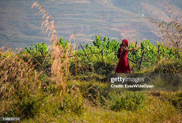 Landscape around the village Chimi Lhakhang in the Punakha Valley with its temple, monastery is renowned for its fertility blessings, phallus or...