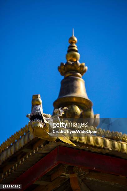 The village Chimi Lhakhang in the Punakha Valley with its temple, monastery is renowned for its fertility blessings, phallus or penis symbols, where...
