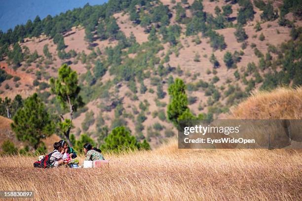 Young children have a picnic in the beautiful landscape around the village Chimi Lhakhang in the Punakha Valley with its temple, monastery is...