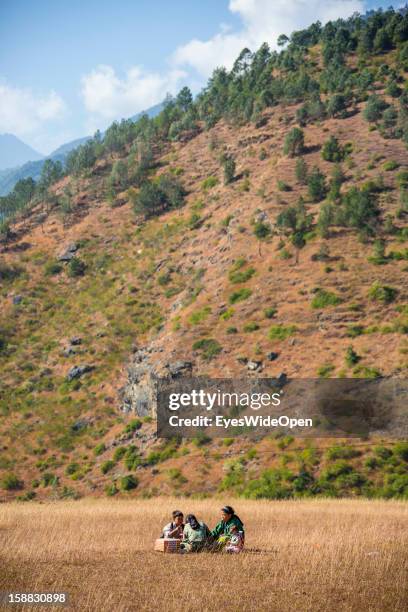 Young children have a picnic in the beautiful landscape around the village Chimi Lhakhang in the Punakha Valley with its temple, monastery is...