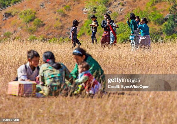 Young children have a picnic in the beautiful landscape around the village Chimi Lhakhang in the Punakha Valley with its temple, monastery is...