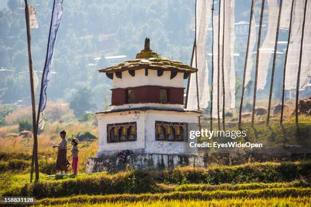 The village Chimi Lhakhang in the Punakha Valley with its temple, monastery is renowned for its fertility blessings, phallus or penis symbols, where...