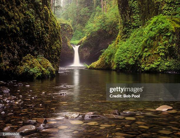 punchbowl falls, columbia gorge - eagle creek trail stockfoto's en -beelden