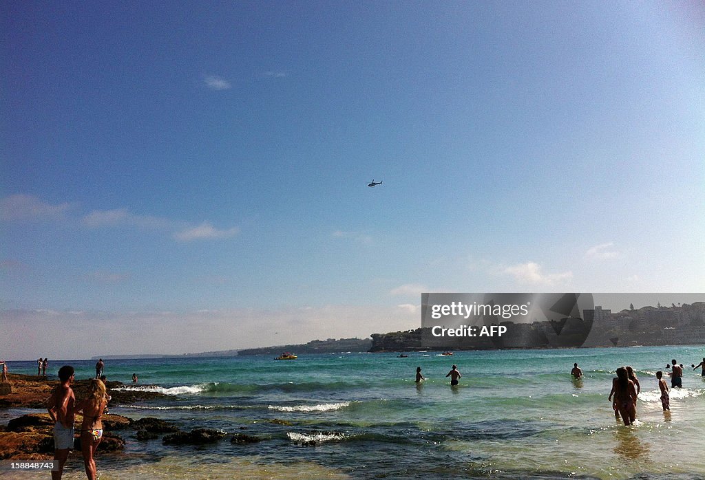 AUSTRALIA-ANIMAL-SHARK