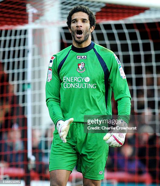 David James of Bournemouth shouts at his defence during the npower League One match between Brentford and Bournemouth at Griffin Park on January 01,...