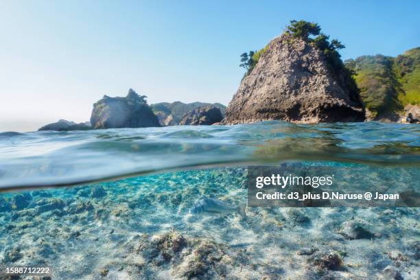 cool half water surface photo @ hirizo beach - 伊豆 stockfoto's en -beelden