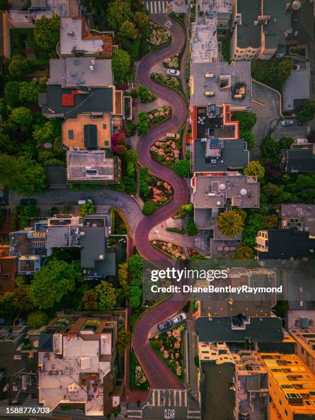 vista aérea de lombard street - lombard street san francisco fotografías e imágenes de stock
