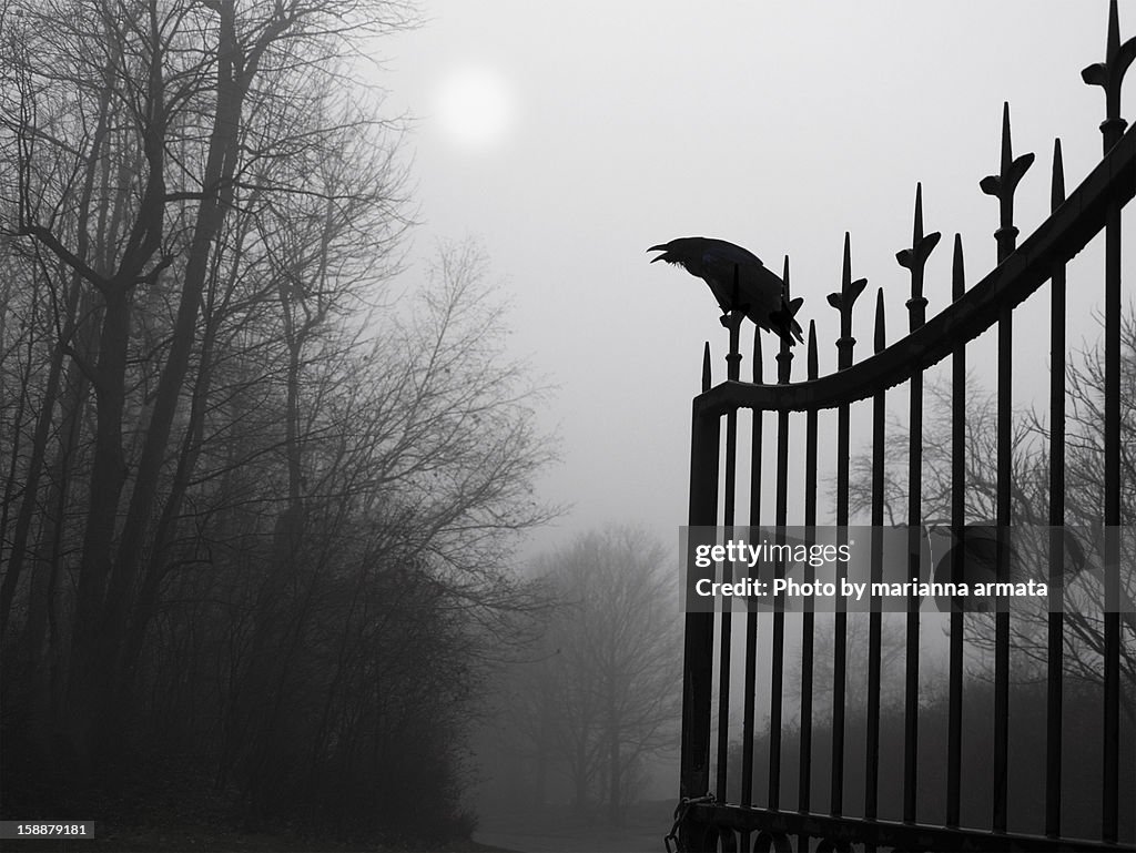 Graveyard guardian