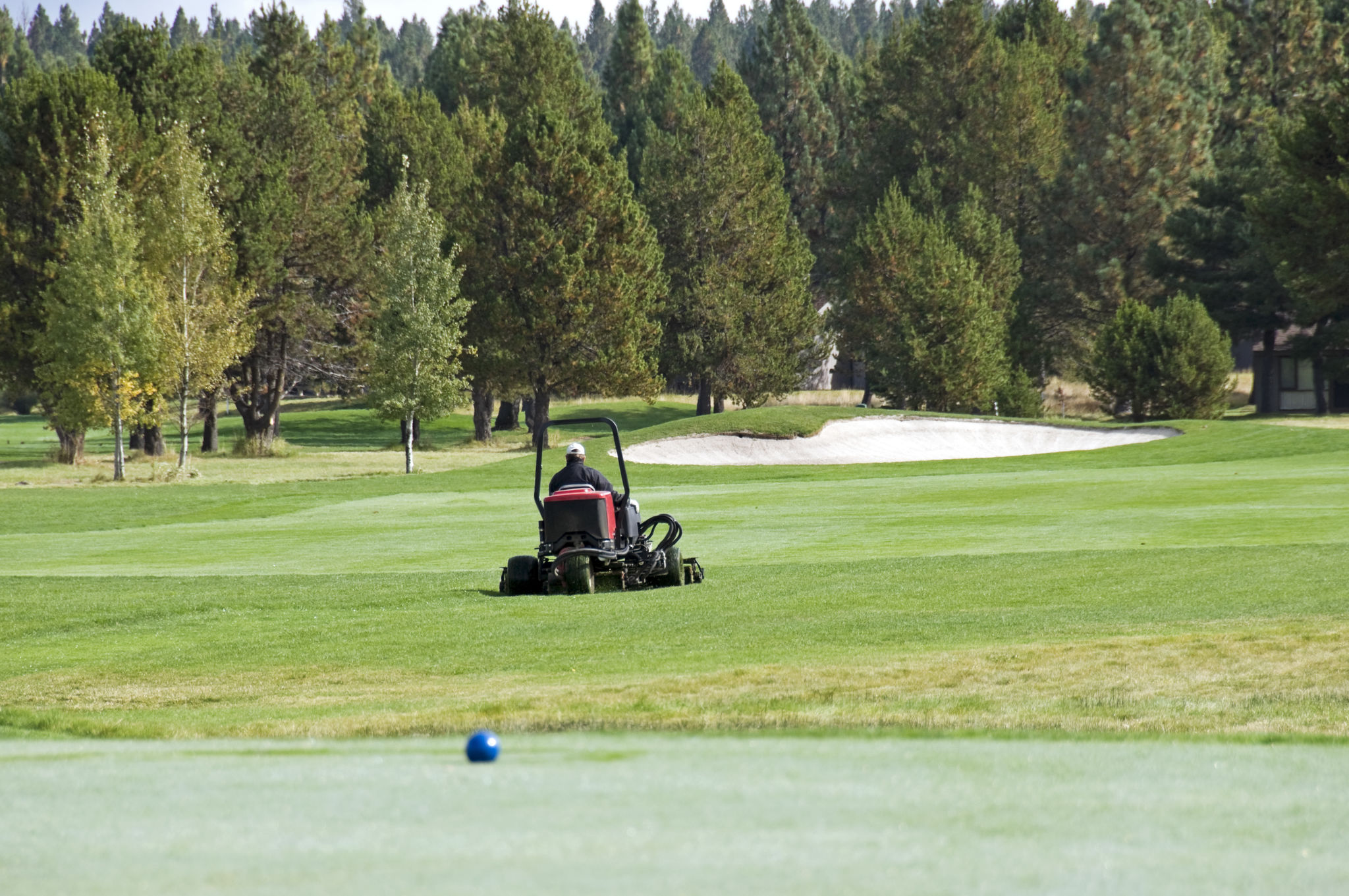 lawn care Oregon