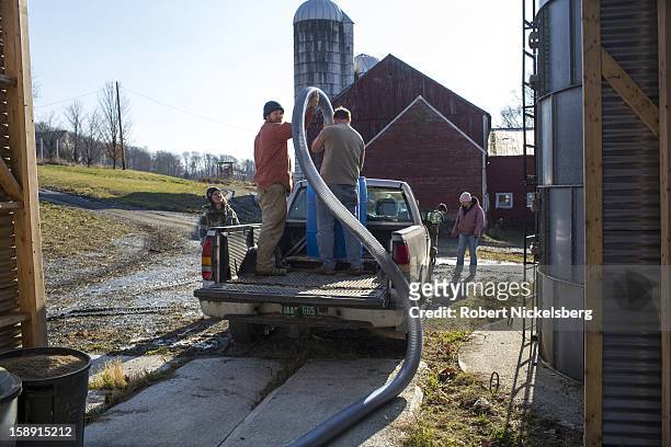 Managers of a nearby fruit and vegetable farm use a vacuum tube to transport black beans to a screening filter December 14, 2012 on John Williamson's...