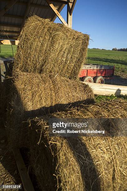 Bales of flaxseed stalk lie in a barn October 17, 2012 on John Williamson's 200-acre State Line Farm in North Bennington, Vermont. Williamson will...