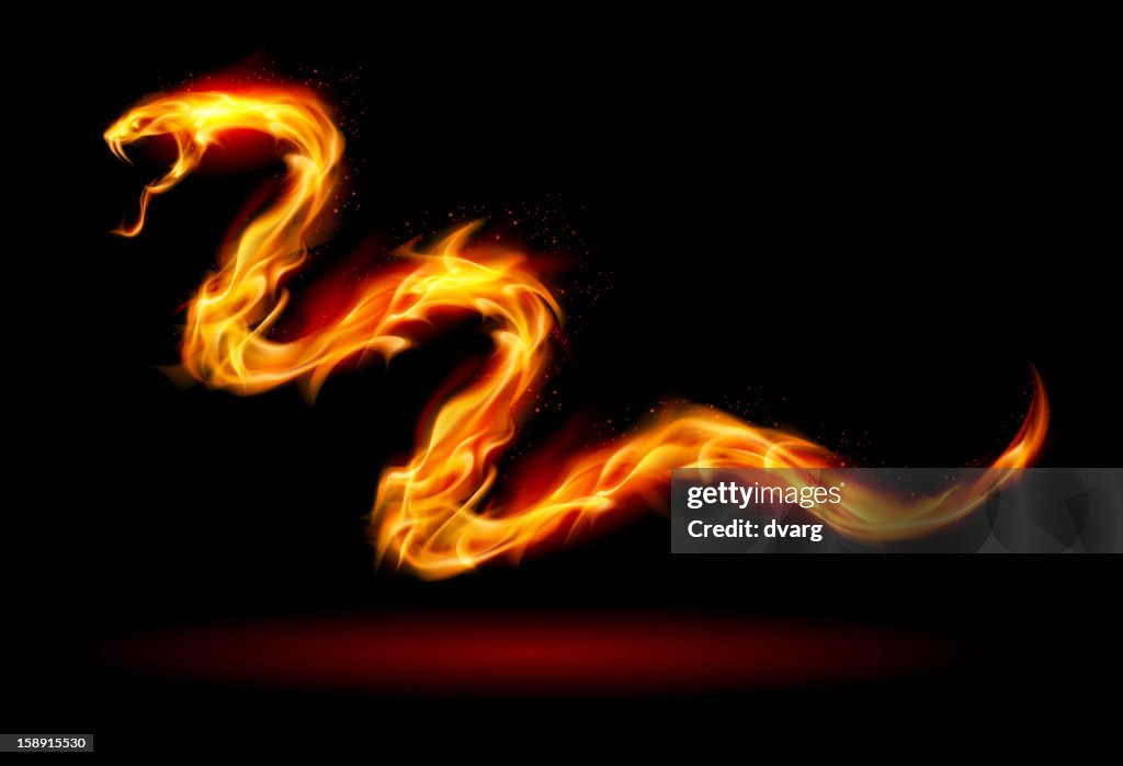 Fire Color Snake Fire Snake High-Res Vector Graphic - Getty Images