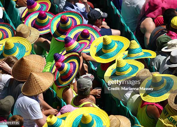 Fans wear hats to keep cool during day two of the Third Test match between Australia and Sri Lanka at Sydney Cricket Ground on January 4, 2013 in...