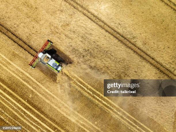 grain harvest from above - threshing stock pictures, royalty-free photos & images