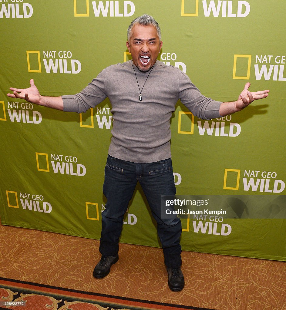 National Geographic Channels' "2013 Winter TCA" Cocktail Party