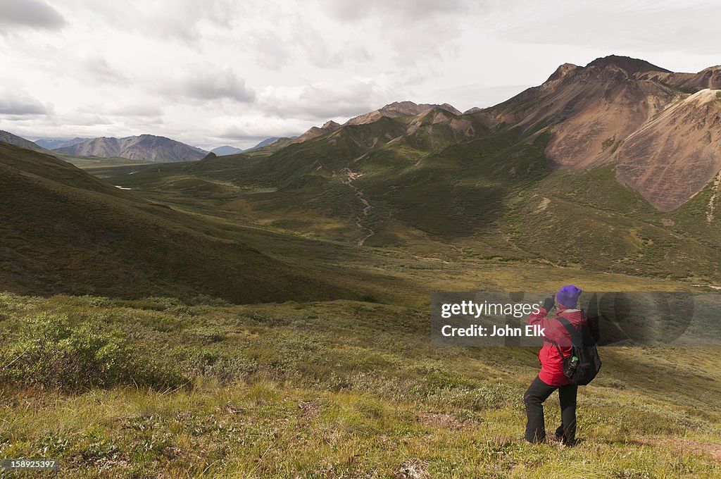 Denali NP landscape with woman