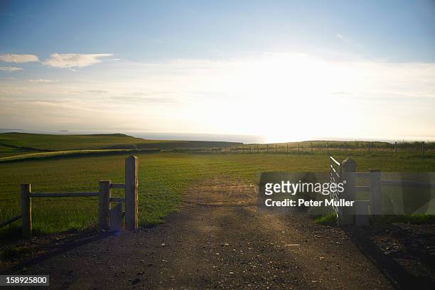 dirt road in rural field - open field stock pictures, royalty-free photos & images