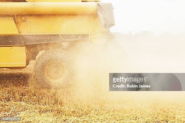 tractor harvesting grains in crop field - cereal plant stock pictures, royalty-free photos & images