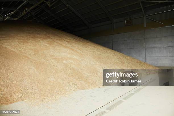 Wheet Storage Injection Wheat Storage Photos and Premium High Res Pictures - Getty Images