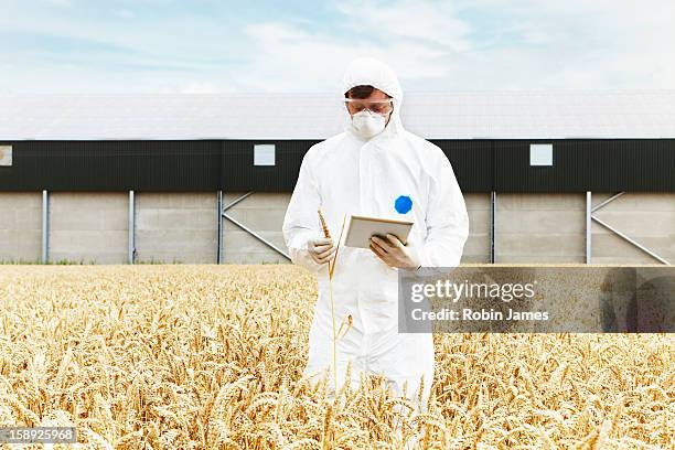 scientist examining grains in crop field - clean suit stock-fotos und bilder