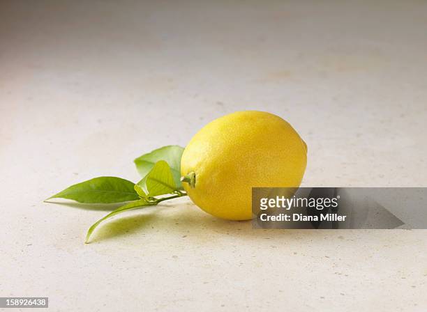 lemon and basil leaves - geheel stockfoto's en -beelden