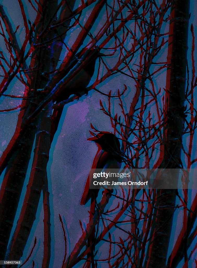 Birds perched on tree branches