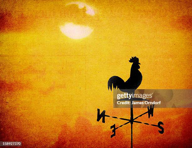 a weather vane with a rooster on top - james orndorf stock illustrations