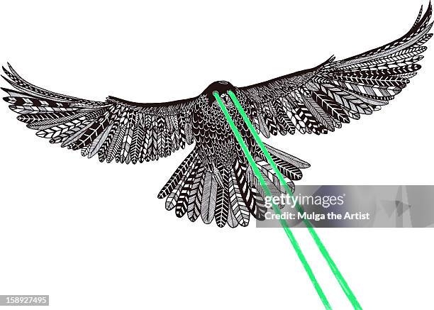 18点の鷹 正面イラスト素材 Getty Images 18点の鷹 正面イラスト素材 Getty Images