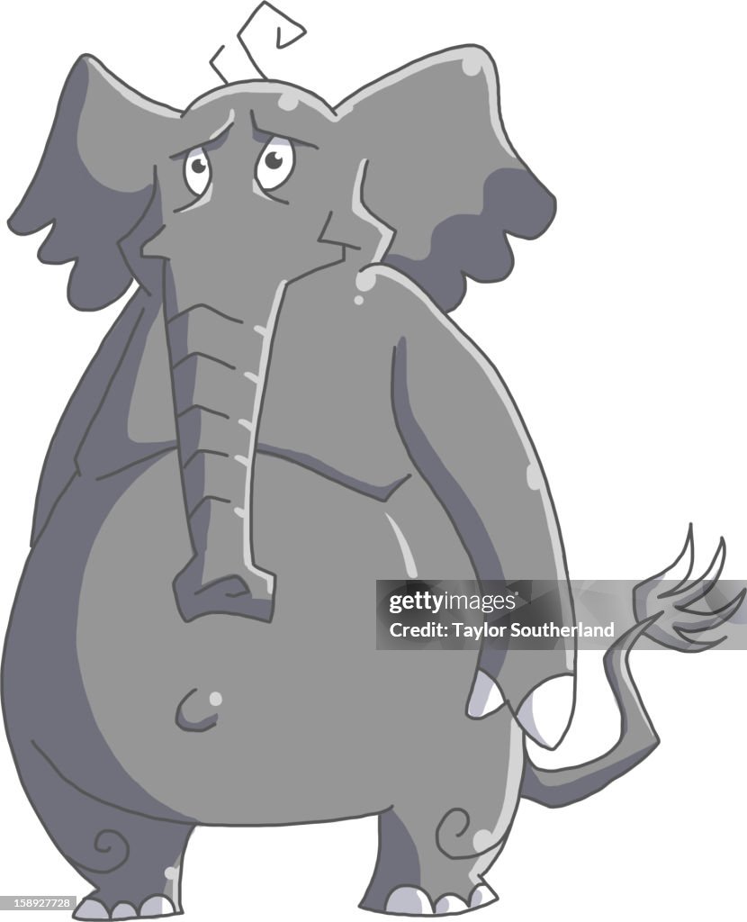 An elephant