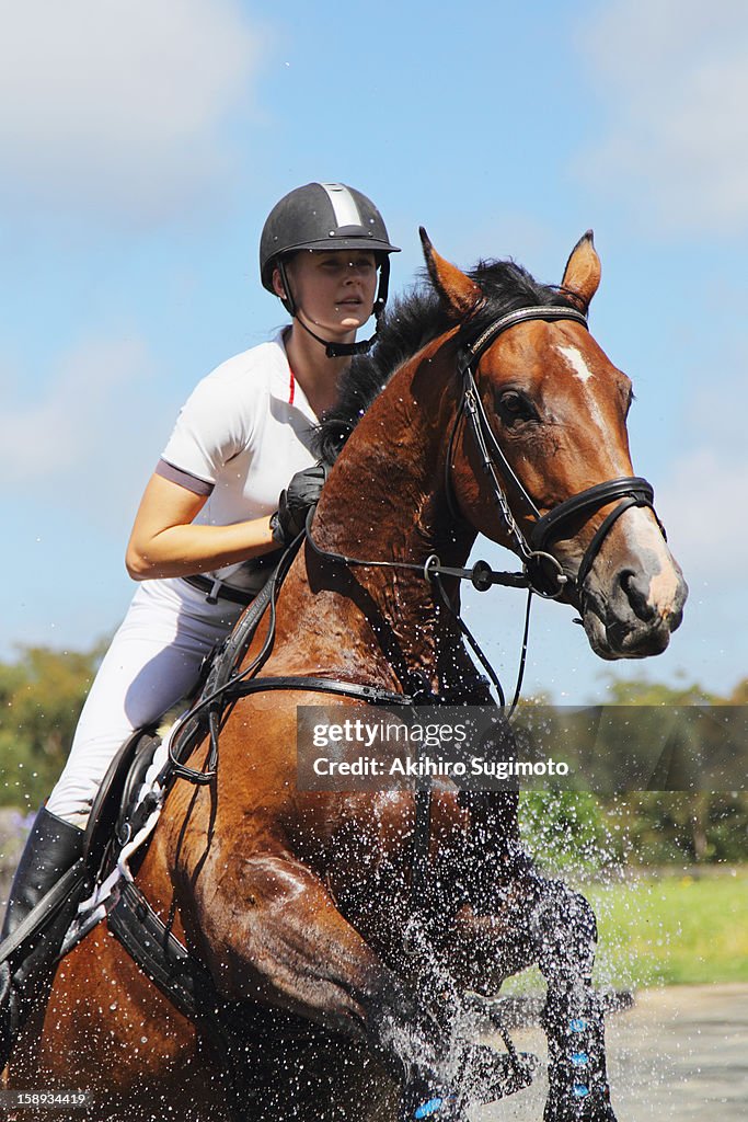 Horse Rider Crossing Water Equestrian Event