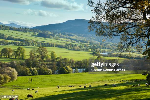 looking west towards contin village along river conan valley from a835 road north of inverness. - scenery stock pictures, royalty-free photos & images