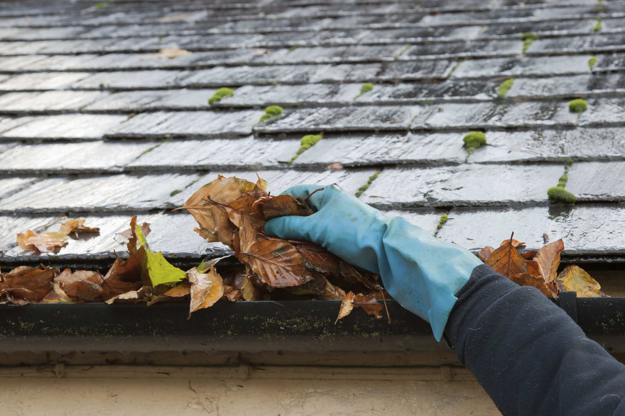 seasonal gutter cleaning