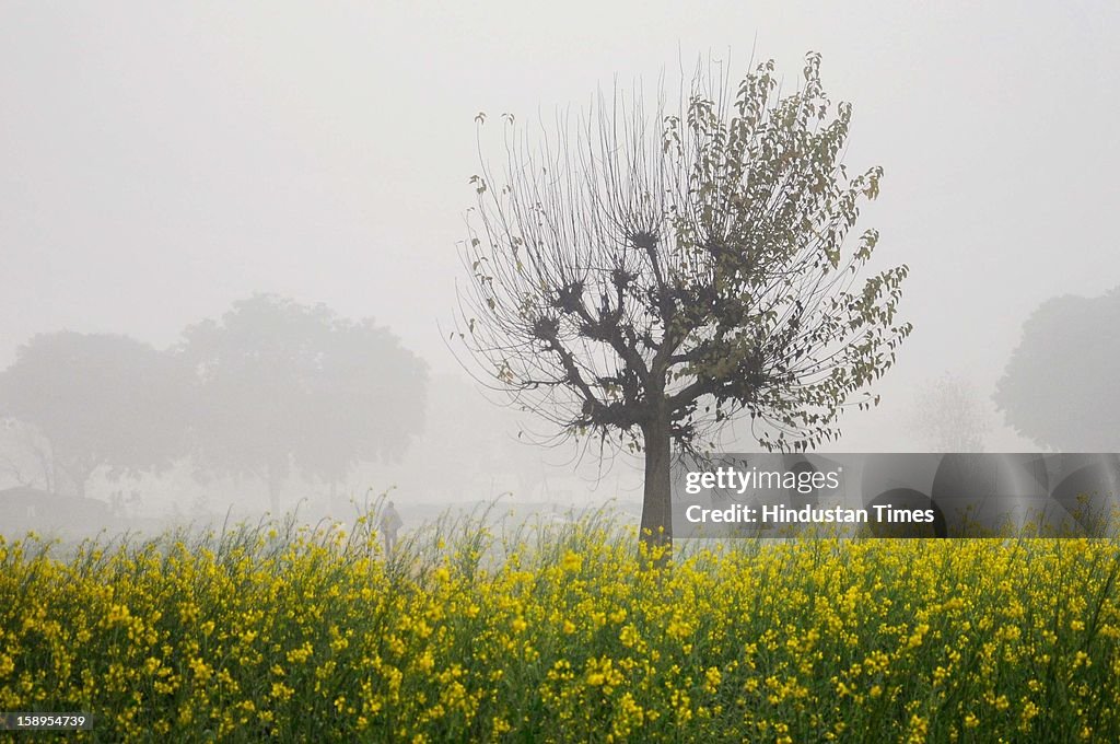 Severe Cold Conditions In Delhi