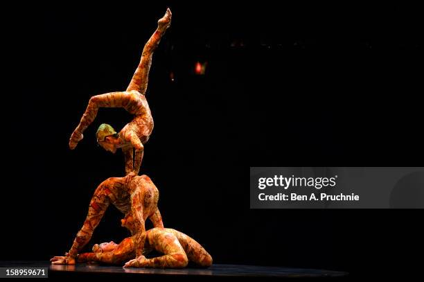 Cirque Du Soleil acrobats perform during the dress rehearsal of Cirque Du Soleil Kooza, at Royal Albert Hall on January 4, 2013 in London, England.