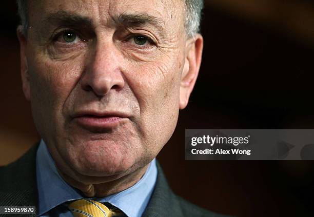 Sen. Charles Schumer speaks to the media during a news conference January 4, 2013 on Capitol Hill in Washington, DC. Schumer and Sen. Kirsten...