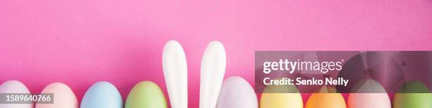multicolored eggs and rabbit ears on a pink background. - bunny ears stockfoto's en -beelden