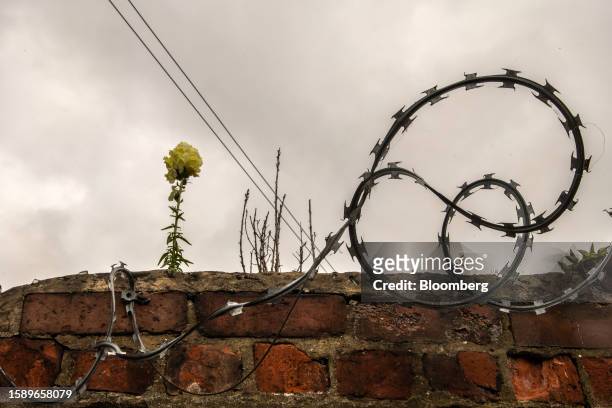 Razor wire hangs from a side wall of terraced housing in the Newport suburb of Middlesbrough, UK, on Sunday, June 4, 2023. While the UK isn't alone...