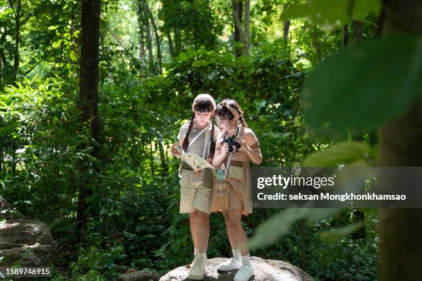 children on a nature field trip are using binoculars to look at the animals that live in the treetops. - portrait of school children and female teacher in field stock pictures, royalty-free photos & images