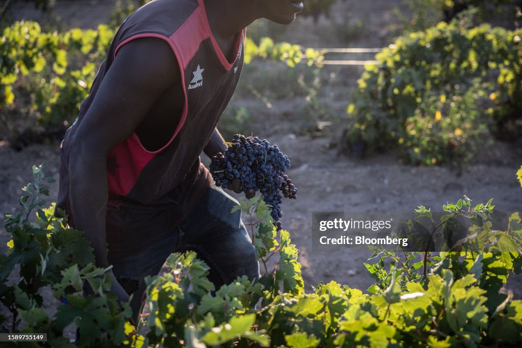 Spain's Catalonia Region Declares Drought Emergency