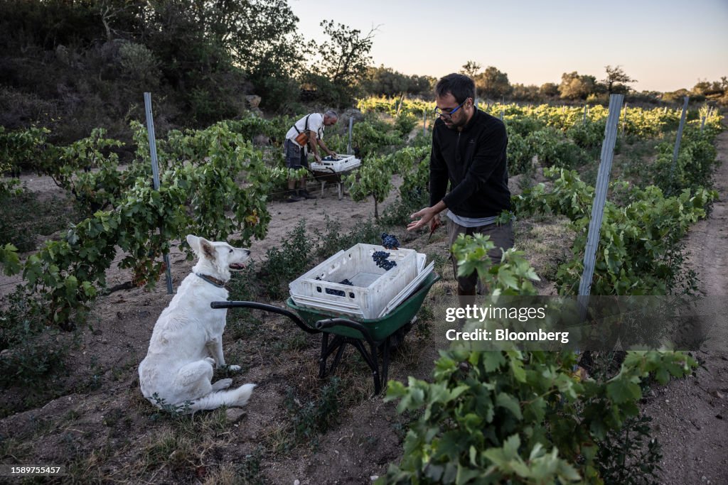 Spain's Catalonia Region Declares Drought Emergency