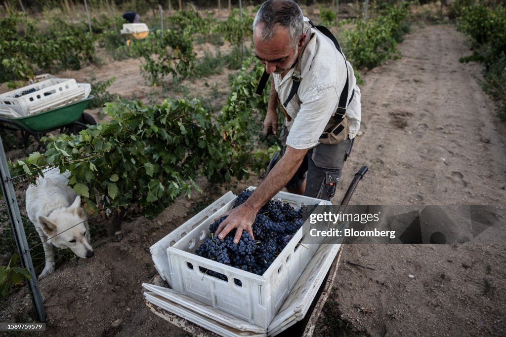 Spain's Catalonia Region Declares Drought Emergency