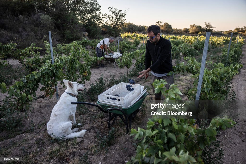 Spain's Catalonia Region Declares Drought Emergency