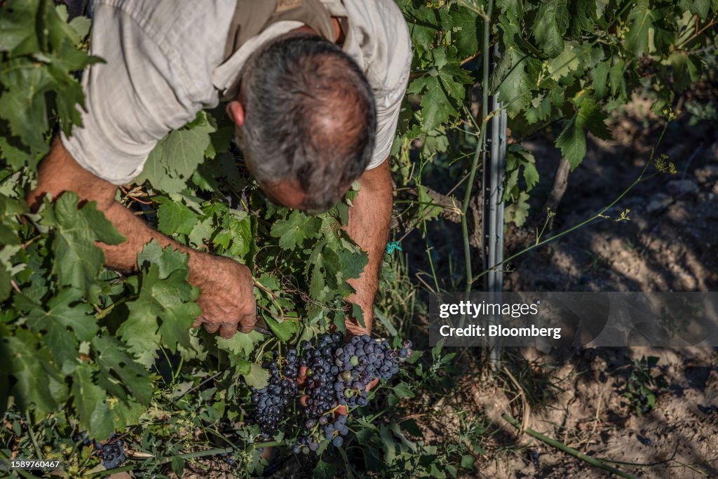 Spain's Catalonia Region Declares Drought Emergency